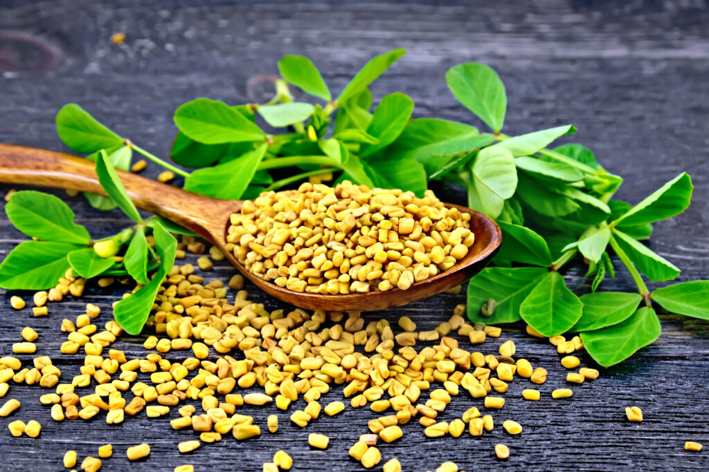 Fenugreek seeds and leaves contain rich stores of phytonutrients which benefit hair growth