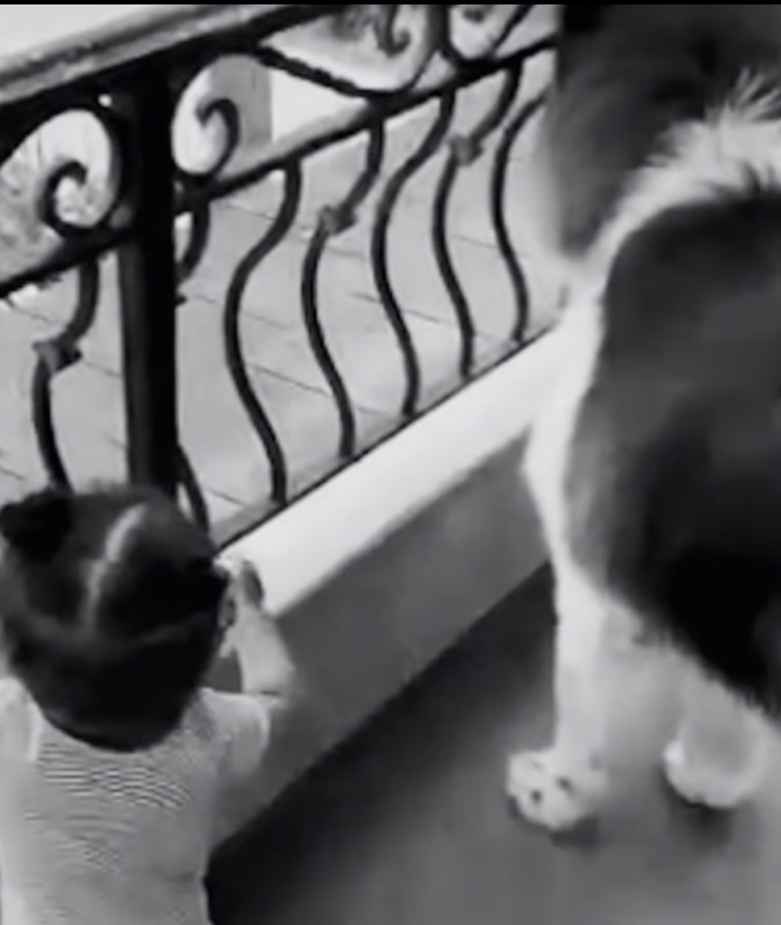 Black-and-white image of a child reaching toward a large dog near a railing.